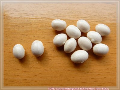 BB_Zuckerperl_Perfektion02.jpg