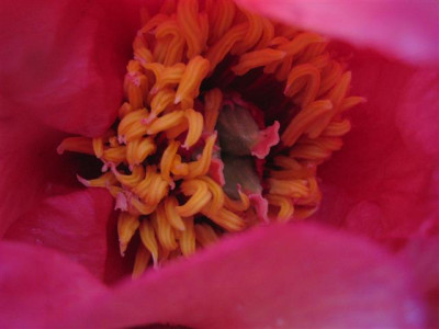 ruffled_sunset_31-5-13_9_Klein.JPG