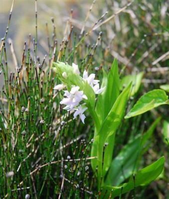 C7153a_Small.jpg