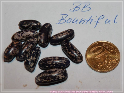 Bountiful_Ester_BB.jpg