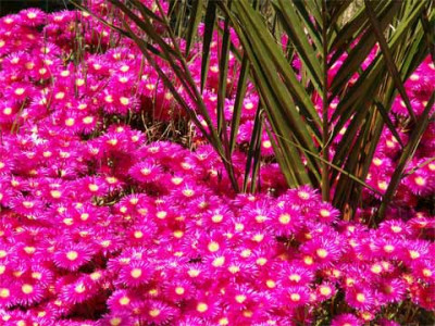 farbe_004.jpg