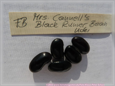 FB_Mrs_Cannels_Black_Runner_Bean.jpg