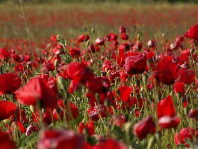 farbe_002.jpg