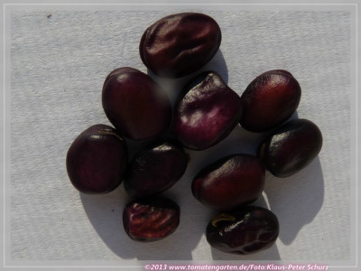 Saubohne_Savitaipale3.jpg