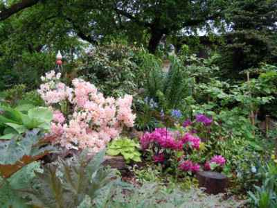 regnerischer_Fruhsommer_13_012.JPG