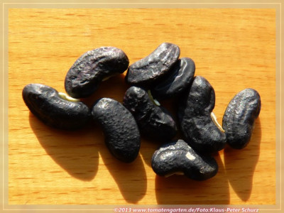 Juglia_Serpiente02.jpg