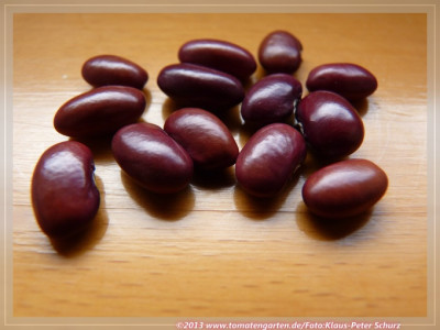Mt_Pima_Plum2.jpg