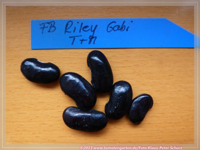 Riley_Gabi_FB1.jpg