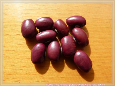 SB_Frijoles_tintos_de_Granada_Fragezeichen.jpg