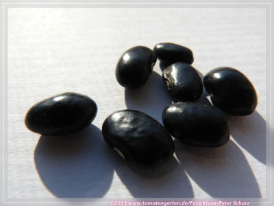 Tarahumara_Black_and_Blue2.jpg