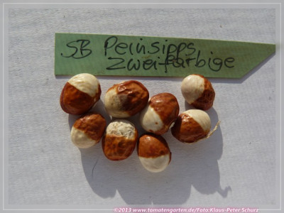 SB_Peinsipps_Zweifarbige.jpg