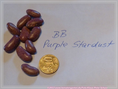 Purple_Stardust_BB.jpg