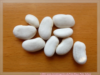 SB_Bjel_Krupni_Gras02.jpg