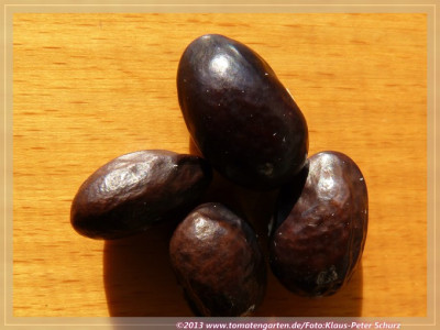 SB_Siroka_tuta_Mahuna03.jpg