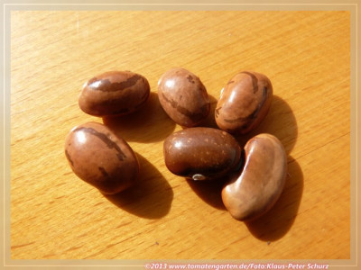 SB_Bonner_fadenlose_Bauern02.jpg