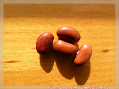 SB_Turkisch_Rosa02.jpg