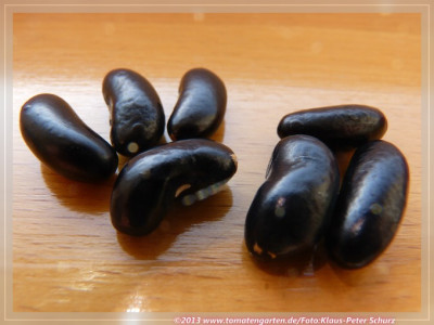 Schwarze_Neger_3.jpg