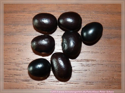 zBlack_Coco_BB.jpg