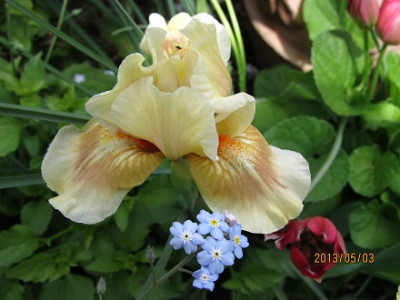 IMG_2260_small.jpg