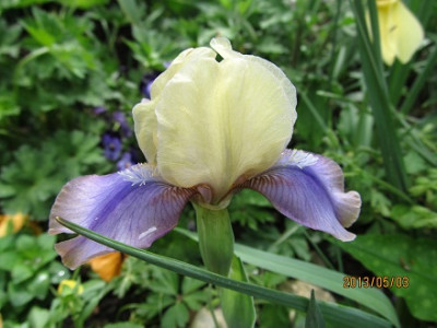 IMG_2258_small.jpg