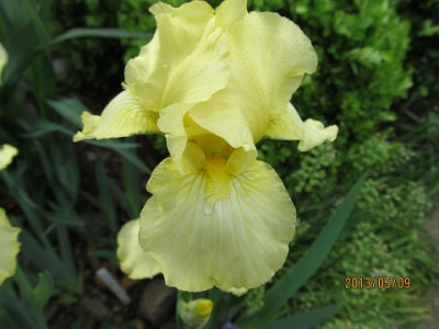 IMG_2289_small.jpg
