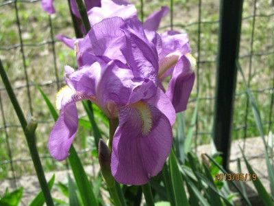 IMG_2347_small.jpg