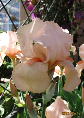 IMG_2301_small.jpg