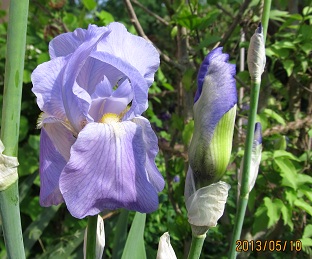 IMG_2293_small.JPG