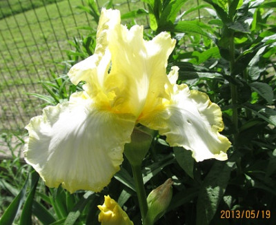 IMG_2344_small.JPG