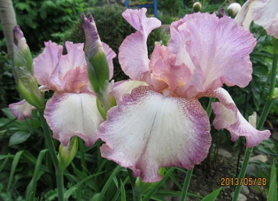 IMG_2406_small.JPG