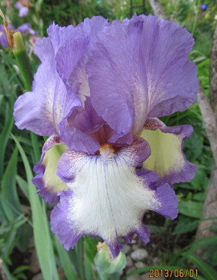 IMG_2428_small.JPG