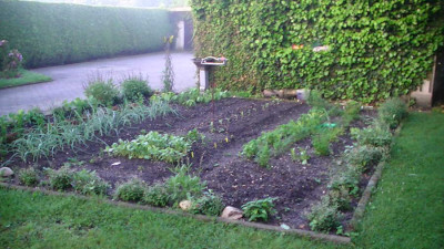 ehemalsKrautergarten.JPG