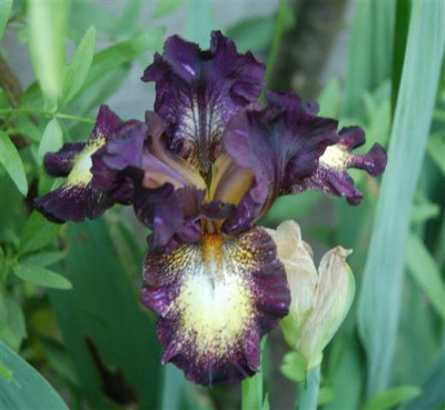 C7307a_Small.jpg