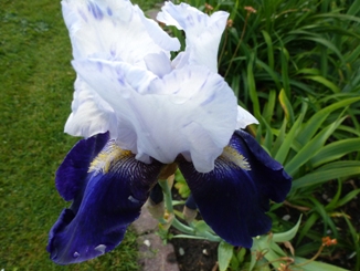 P1000244.JPG