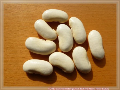 Phaseolus_coccineus_Butter_Bean02.jpg