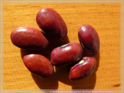 Taos_Red_Bean02.jpg