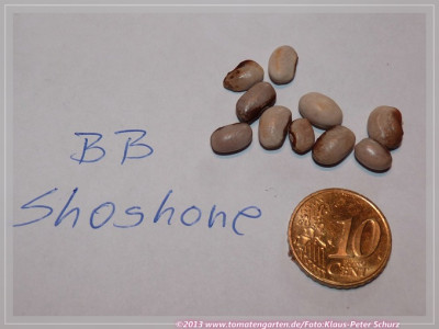 Shoshone_BB.jpg