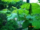 005_80x60.jpg