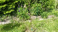 P1030479-10.JPG