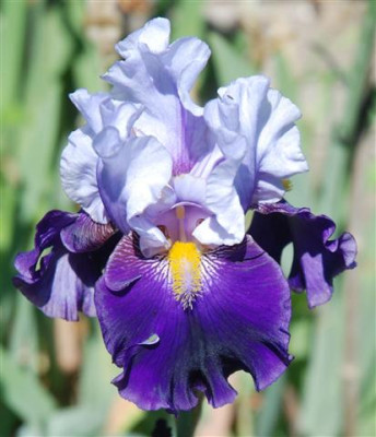 C7412a_Small.jpg