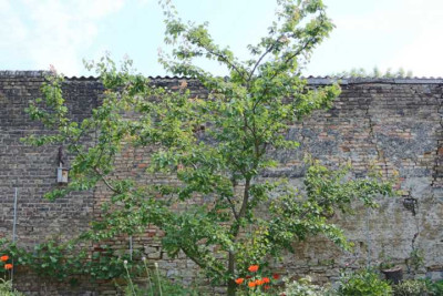 K640_IMG_4261.JPG