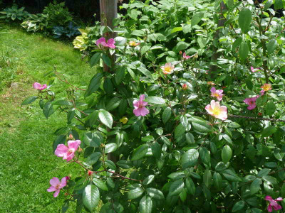 Plaisanterie_20130610_Web.JPG