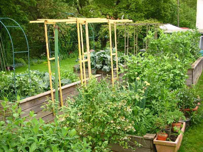 Gemusegarten_2_2013.jpg