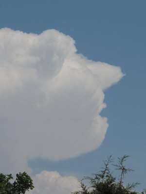 wolkenkopf.jpg