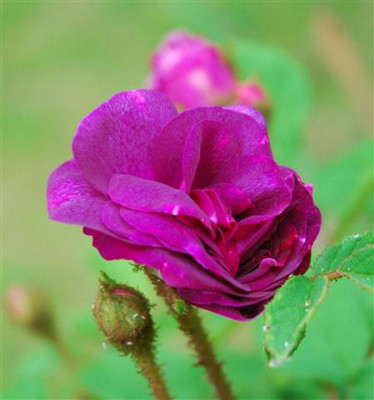 C7505a_Small.jpg