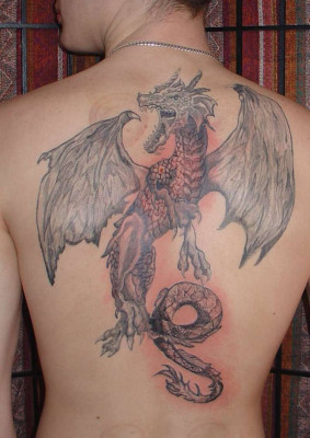 Drache.jpg