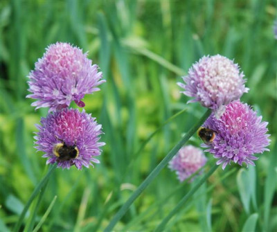 C7614a_Small.jpg