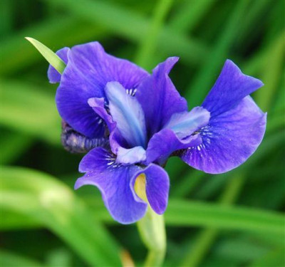 C7635a_Small.jpg