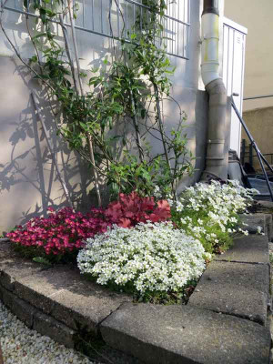 badezimmerbeet2013.jpg