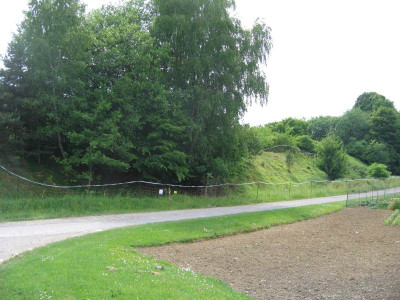 erstezaunung013a.jpg